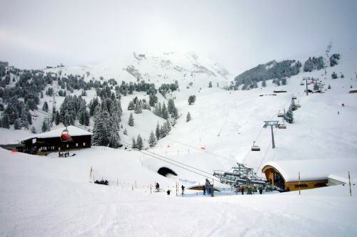 13. Dezember 2009
