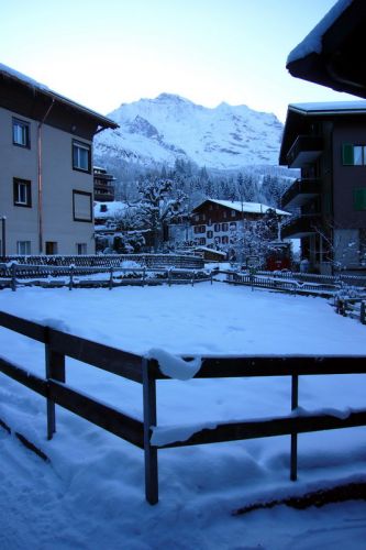 Montag, 14. Dezember 2009...
