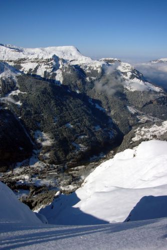 14. Dezember 2009
