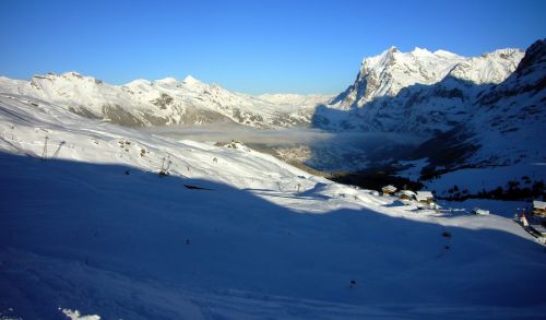 14. Dezember 2009
