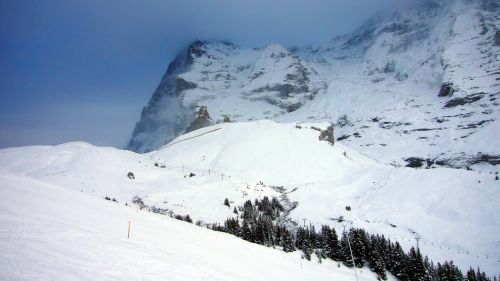 20. Dezember 2009
