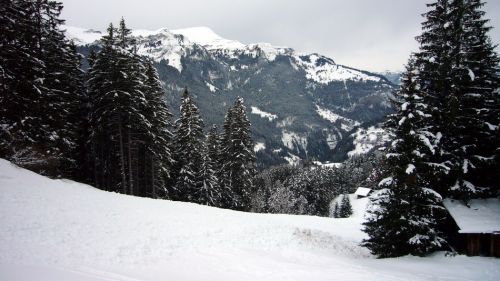 Der Slalomhang ist beschneit und fast schon bereit. Das wars aus Wengen für dieses Jahr - mehr dann am Lauberhorn-Rennweekend!
