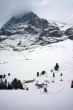 20091205-wengen-0362.jpg