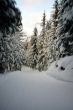 20091205-wengen-0423.jpg