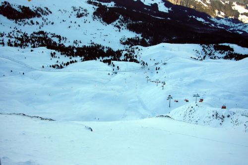 16. Januar 2010
