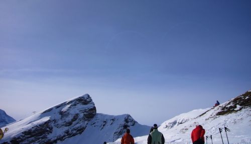 16. Januar 2010
