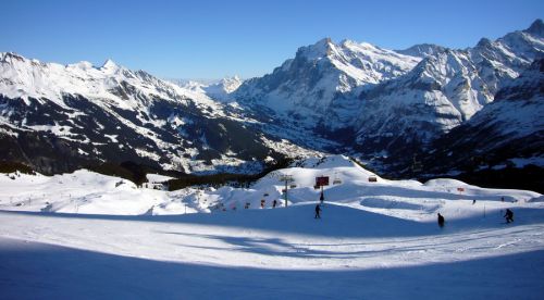 18. Januar 2010

