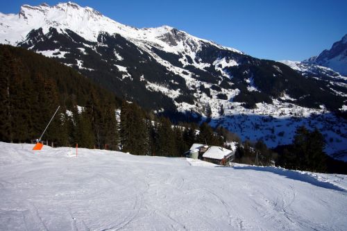 18. Januar 2010
