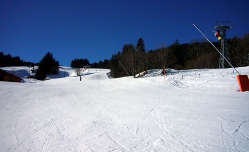 18. Januar 2010
