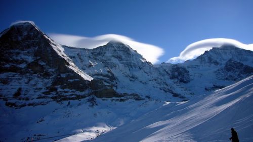 19. Januar 2010
