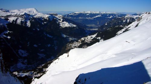 19. Januar 2010
