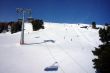 20100116-wengen-0076.jpg