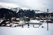 20100116-wengen-0137.jpg