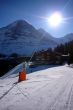 20100118-wengen-0195.jpg