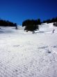 20100118-wengen-0196.jpg