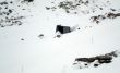 20100126-c-zermatt-3489.jpg