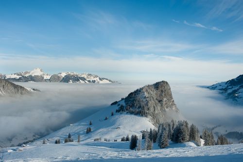Herrlich, über diesen doofen Suppe zu sein
