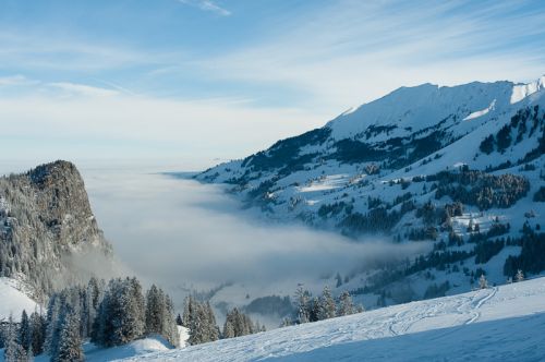 27. Januar 2010
