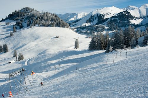 27. Januar 2010
