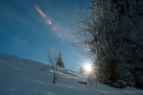 27. Januar 2010
