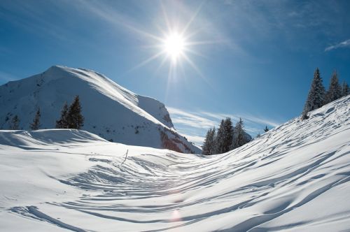 27. Januar 2010
