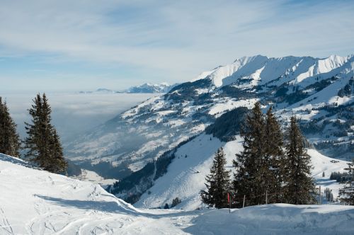 27. Januar 2010
