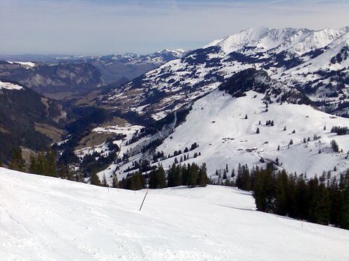 18. März 2010

