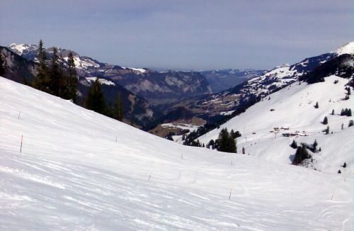 18. März 2010
