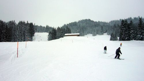 Tschuggenpiste, 31. Januar 2010 - immerhin hier unten sieht man was und es schneit nicht so stark (und es ist wärmer...)
