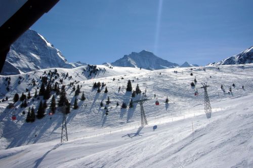 19. März 2010
