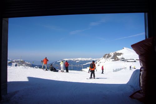 19. März 2010
