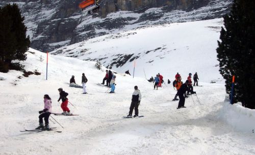 Piste voll - und zwar grössenteils voller Anfänger, die nicht skifahren können: Entweder man lässt nur Leute zum Eigergletscher, die halbwegs fahren können, oder man macht hier eine zweite Piste
