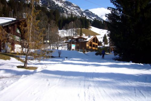Talabfahrt nach Wengen, immer noch problemlos
