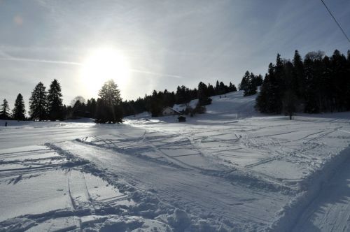 4. Februar 2010
