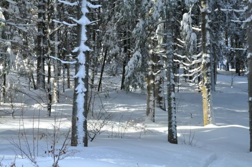 Tiefster Winter im Berner Jura
