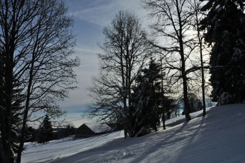 4. Februar 2010
