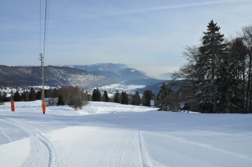 4. Februar 2010
