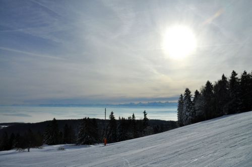 4. Februar 2010
