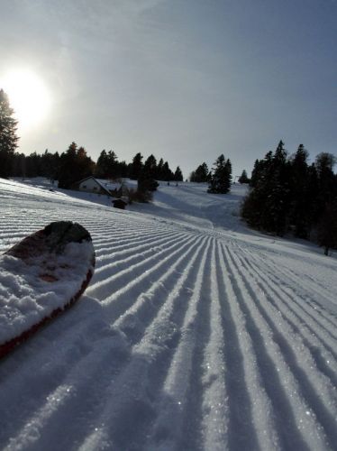 4. Februar 2010
