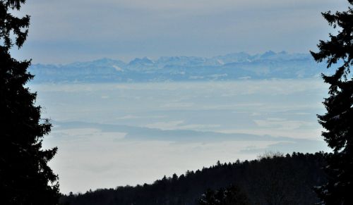 4. Februar 2010
