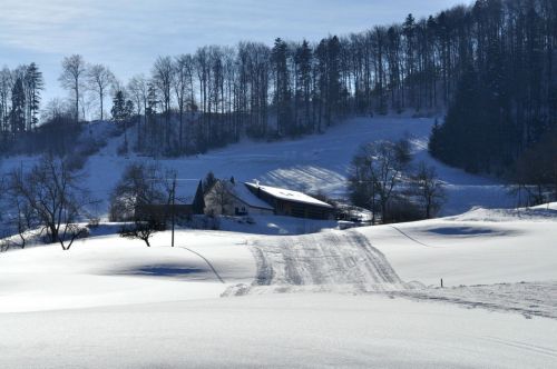 Hier kreuzt die neue "Piste Nord" den Lift
