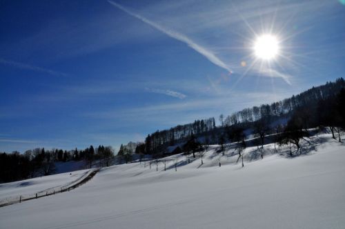 4. Februar 2010
