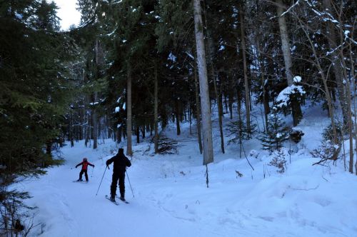 Über einen kleinen Waldweg gehts zu den Hauptpisten
