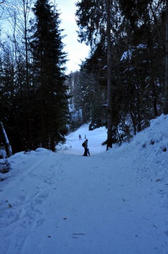 4. Februar 2010
