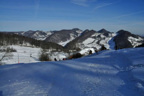 Raus aus dem Wald zu den Pisten "Obere Wanne"
