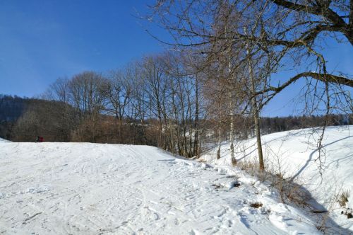 4. Februar 2010
