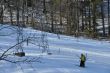 20100204-k-langenbruck-0323.jpg