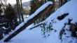 20100204-o-langenbruck-0376.jpg