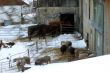 20100204-o-langenbruck-0381.jpg
