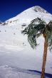 20100208-sedrun-0398.jpg
